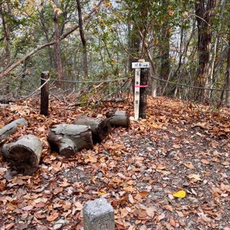 続いて「根岳」