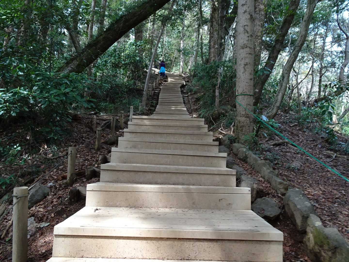 高尾山口駅-高尾山-城山-いろはの森 縦走コースの写真