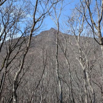 東峰！剣ヶ峰👍
青空に映える！