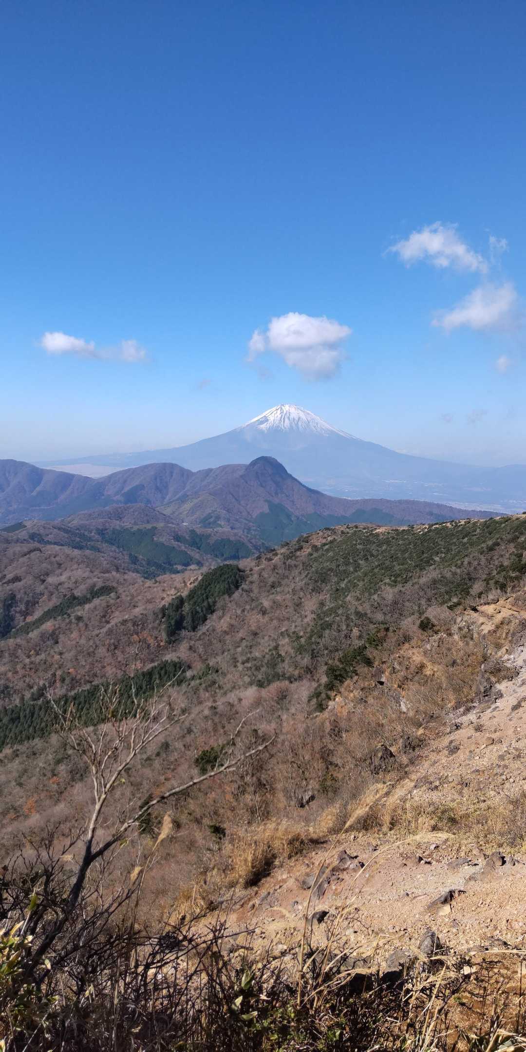 大雄山最乗寺-明神ヶ岳 往復コースの写真