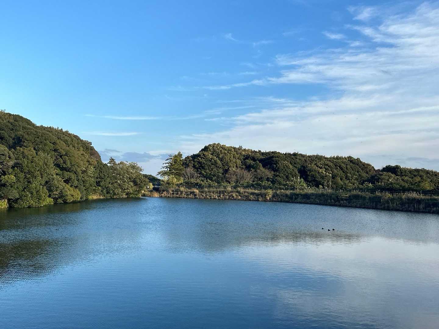転ばす下山できて一安心😮‍💨
鳥が優雅に泳いでた🦆