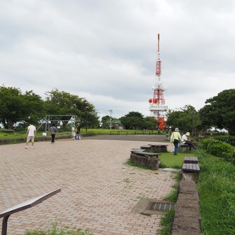 湘南平に到着。