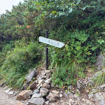 西岳に取り次ぎます