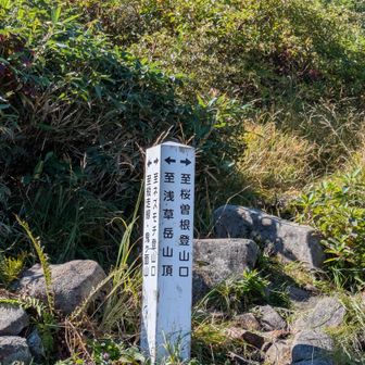 前岳分岐に到着👍