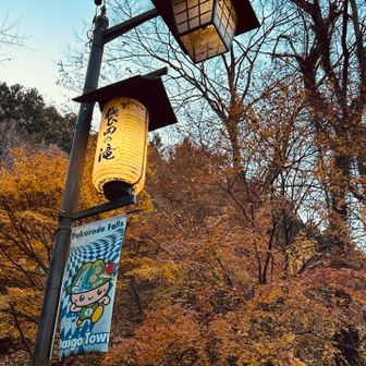 良い１日でした