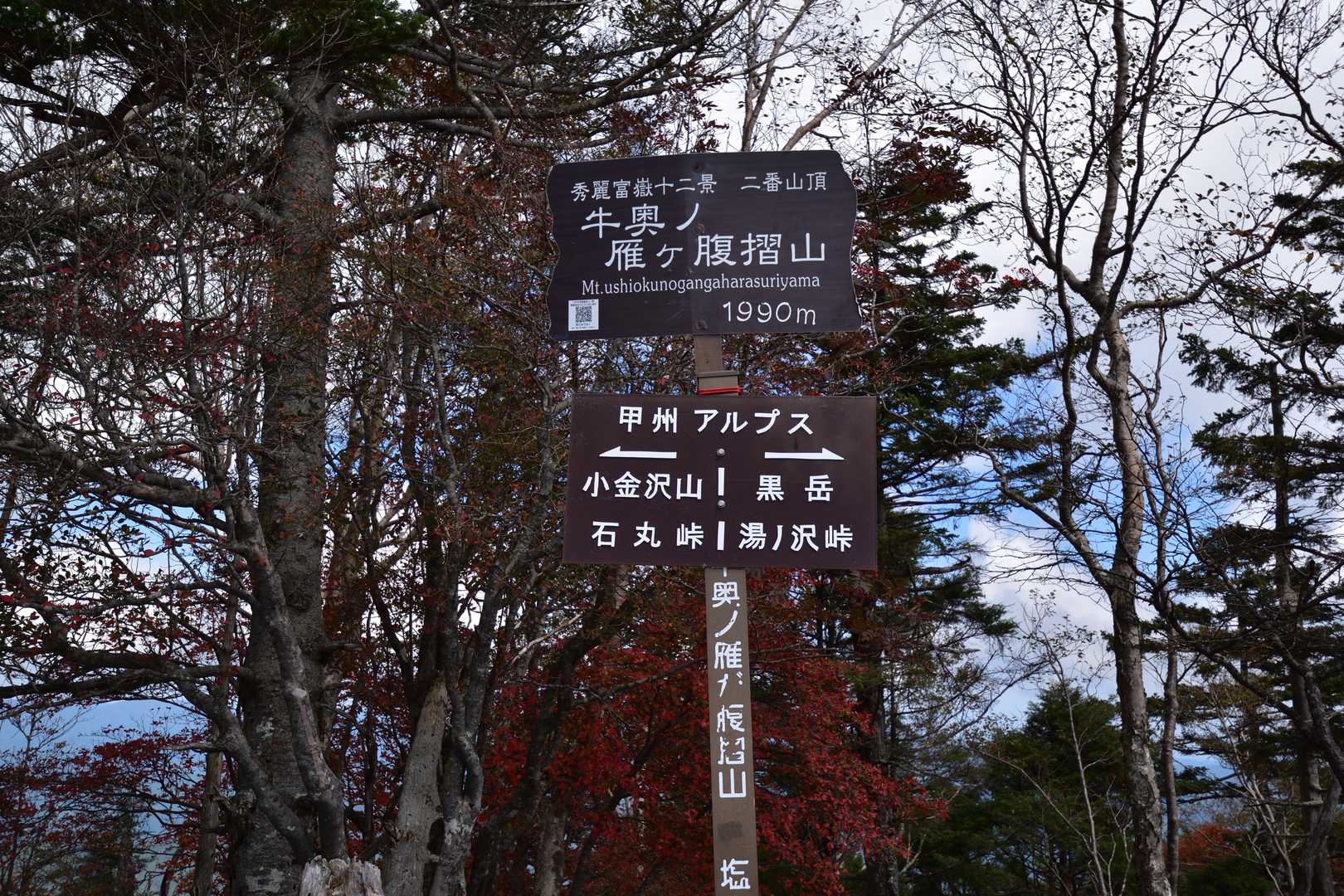 赤岩ノ丸-黒岳-川胡桃沢の頭-牛奥ノ雁ヶ腹摺山 往復コースの写真