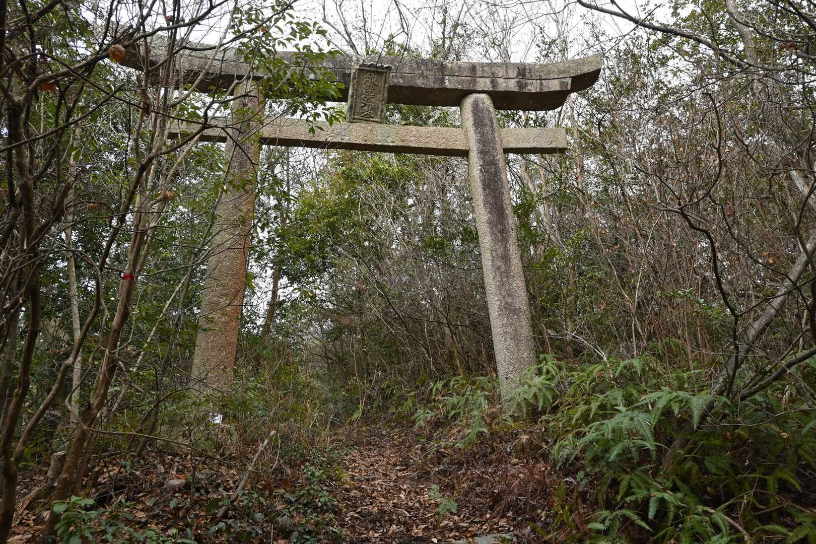 鷲ヶ嶽 往復コースの写真