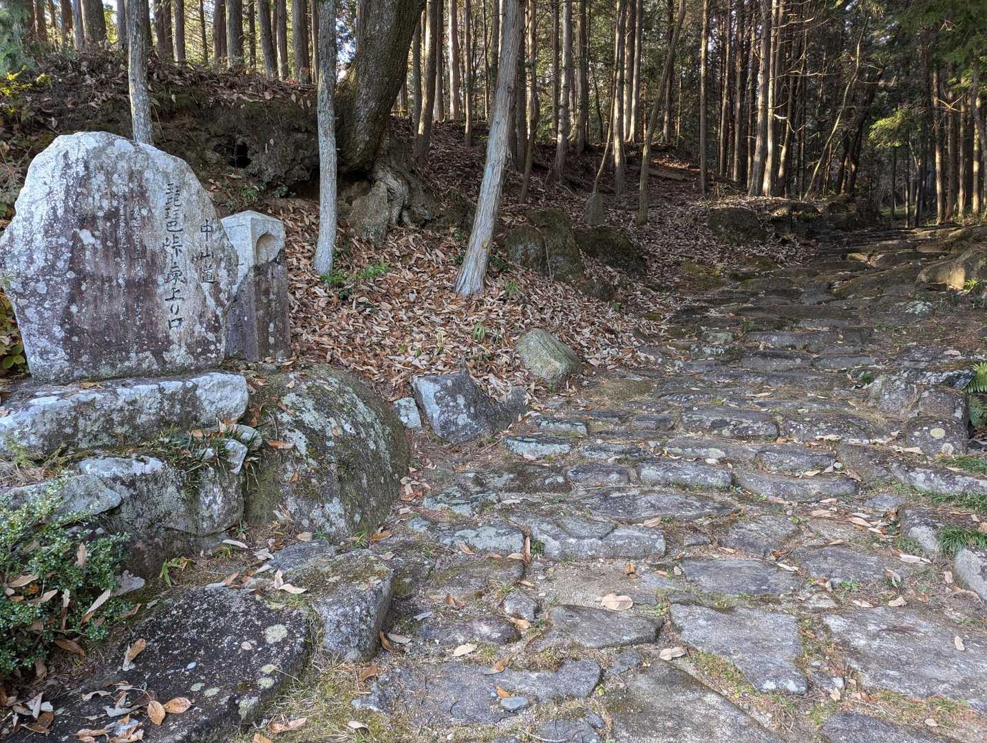大湫コミュニティセンターバス停-本陣山 周回コースの写真