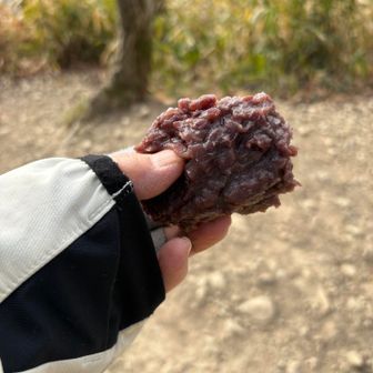 箸を忘れたので　正直　おばあちゃんのぼたもちの方が美味しい　形はソフトボールぐらいの大きさの　まん丸だったけれど