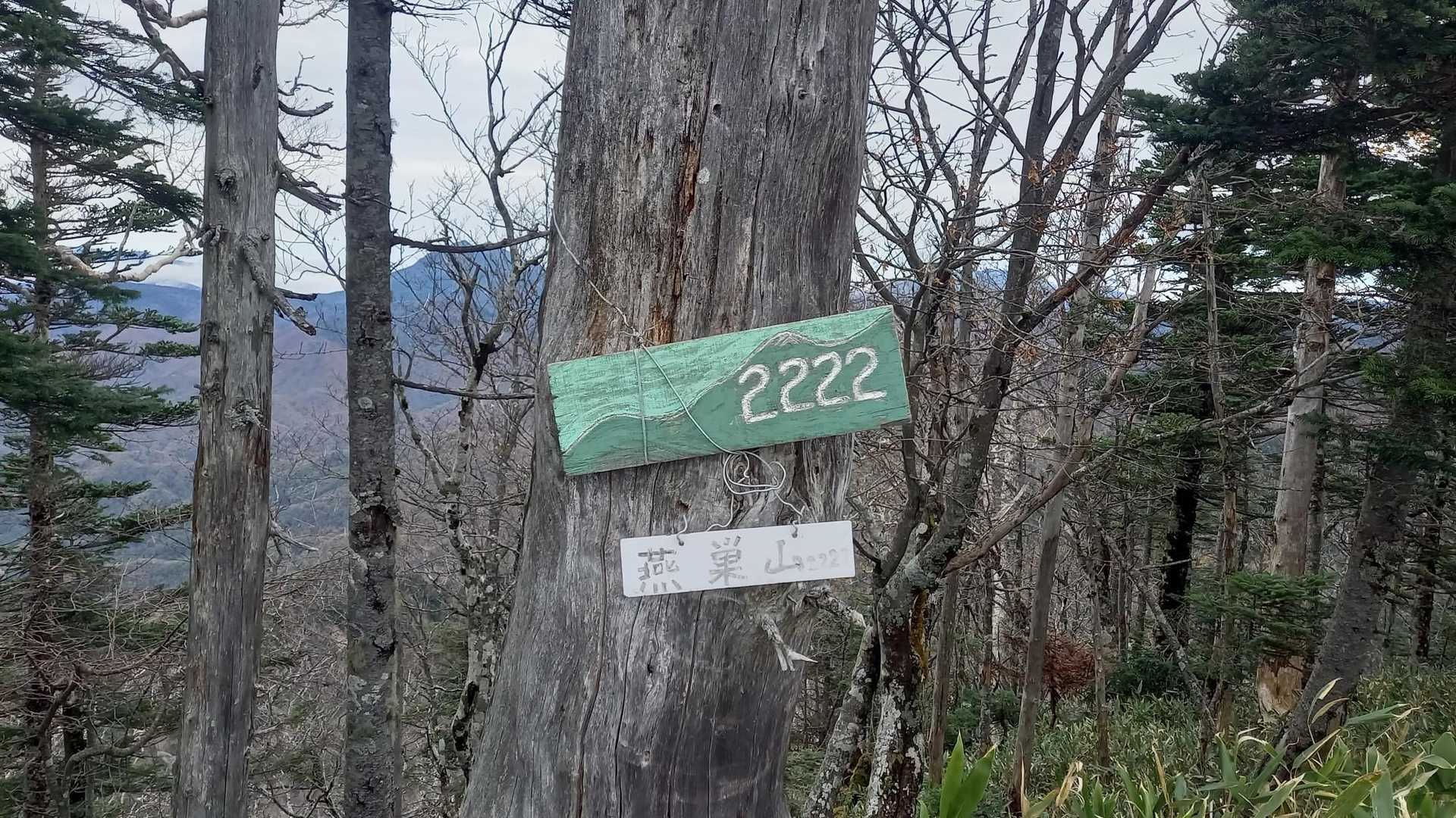 燕巣山 往復コースの写真
