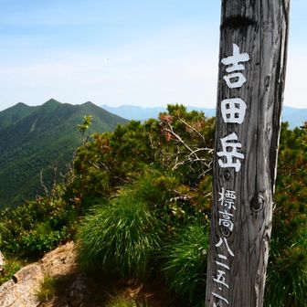 着いた🎉