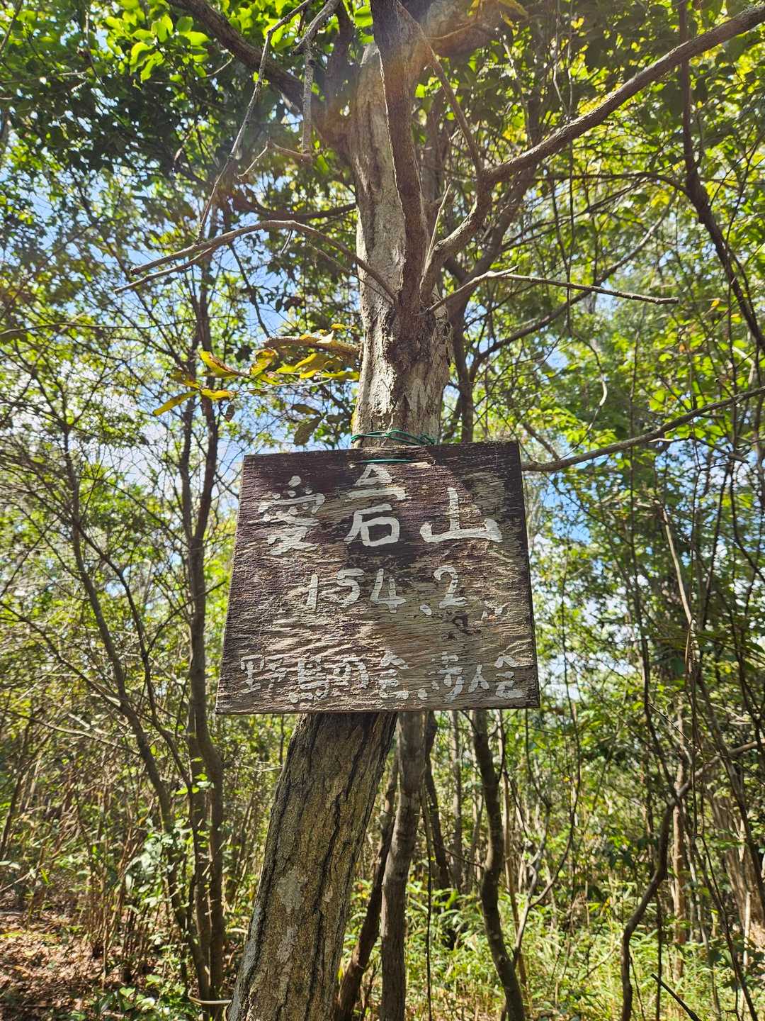 白雲谷温泉ゆぴか登山口-高山-日光峠-安場山 往復コースの写真