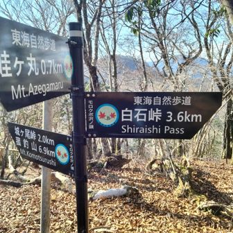 モロクボ沢ノ頭に到着ですよ～🐒
畦ヶ丸まであと少し💪