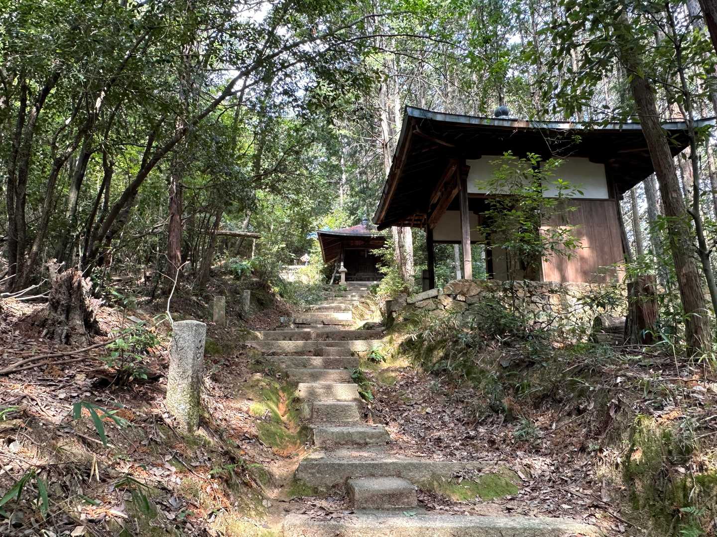 ガチで登山道中に８８もの堂が有ります😲