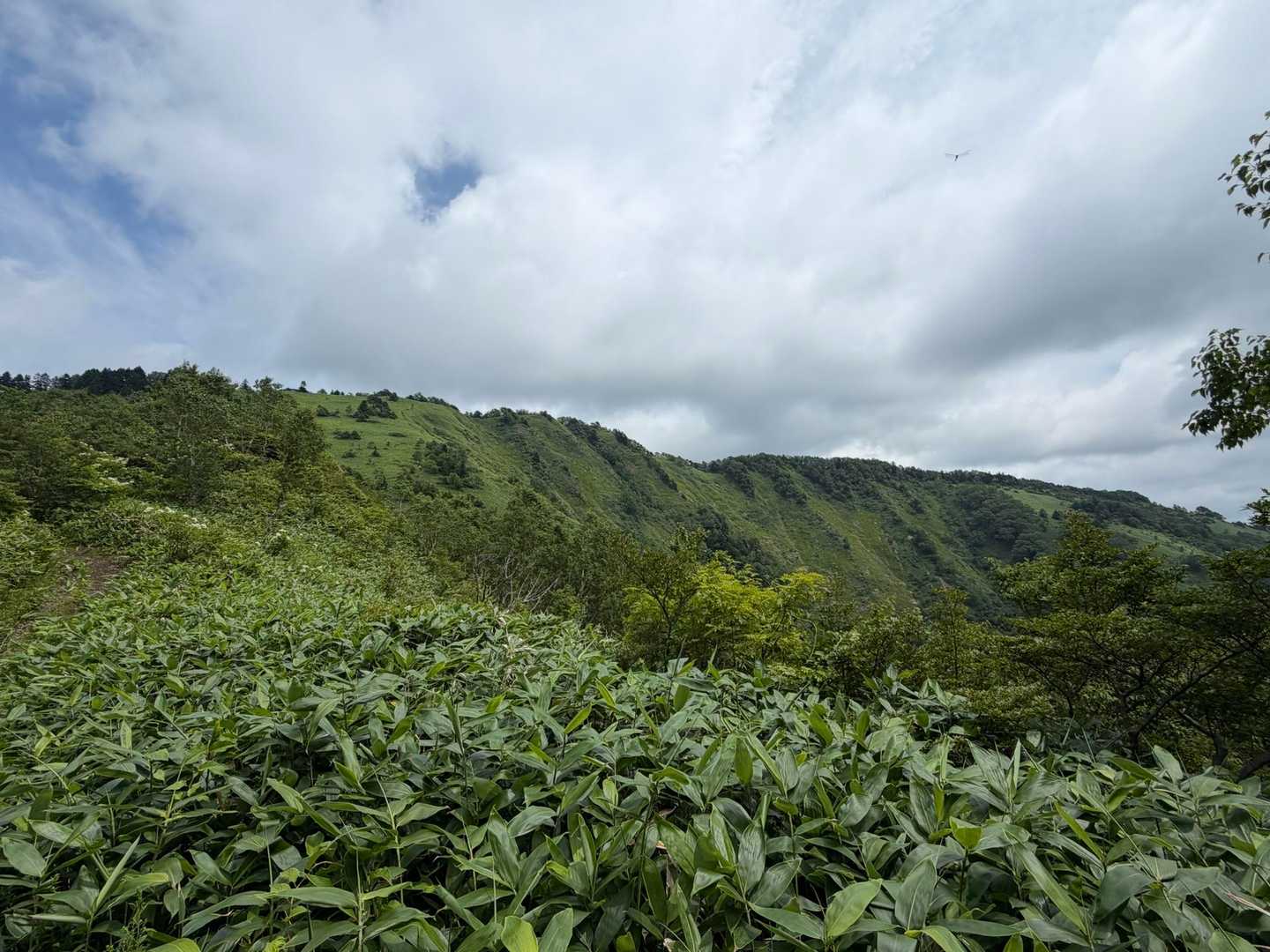 富士見峠-イカイワの頭-八間山 周回コースの写真