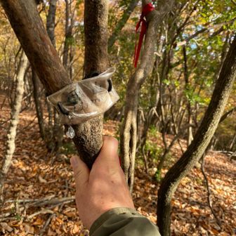 二つ目タッチ🙋‍♀️