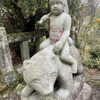 ココにも金太郎