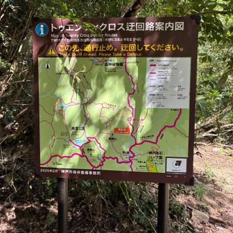 なんてったって『トゥエンティクロス✨』カッコ良！！