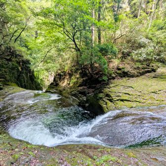 水が盛り上がる感じ
ずっと見ていたくなる