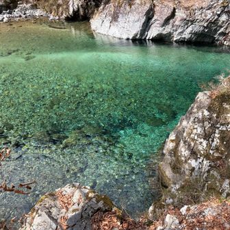 近くで阿寺ブルーが見れる🩵
エメラルドグリーン、すごい好きで子供の頃に偽物？本物？わからないけど親戚のおばちゃんにおねだりしてつけているエメラルドの指輪💍もらったことある。
子供とはいえ、図々しいわ。。