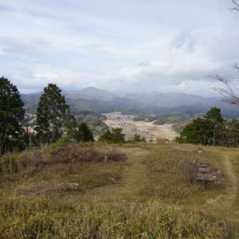 なんか急に冷え込んできたよ🥶