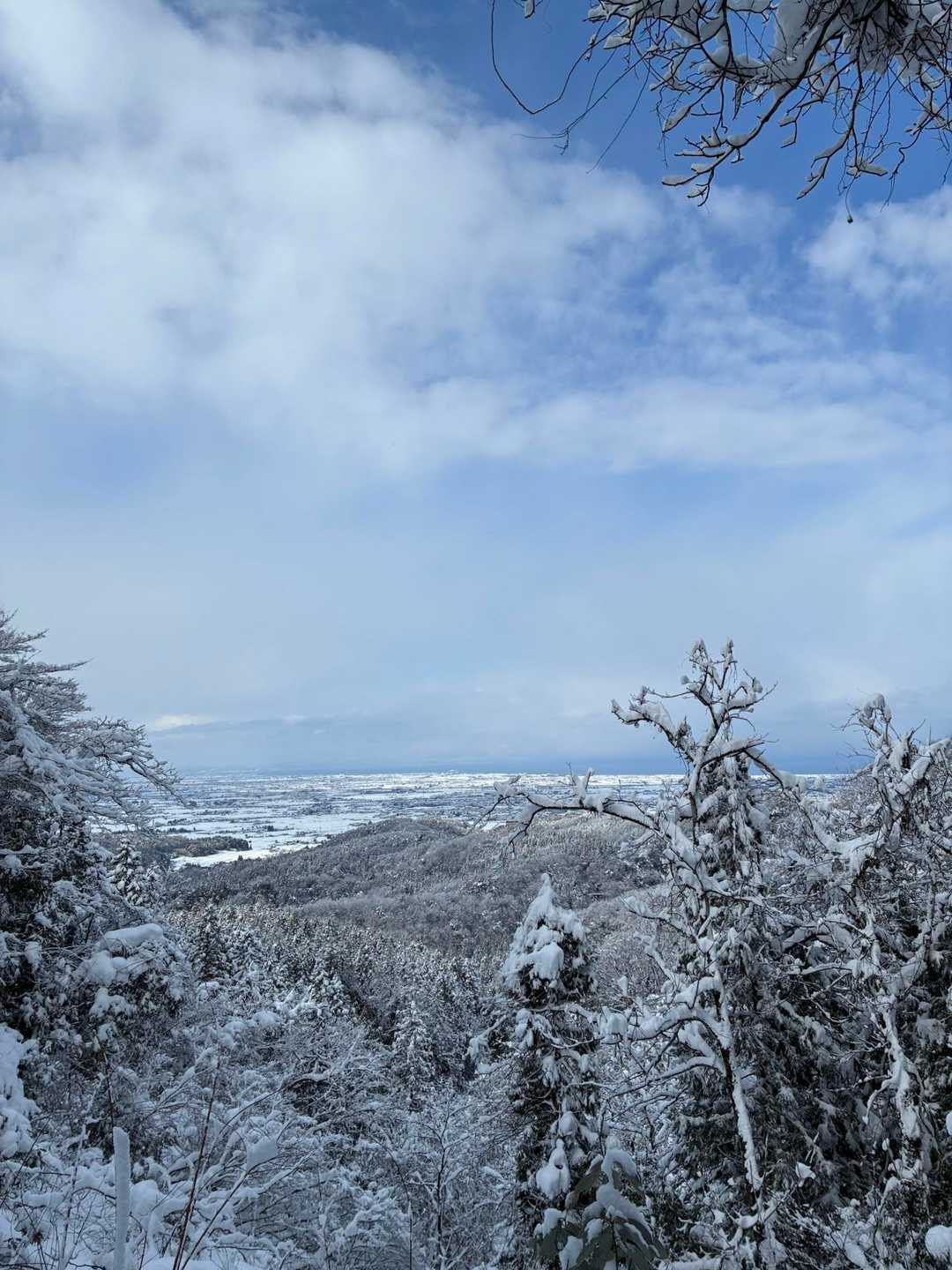 城ヶ平山大岩側登山口-城ヶ平山 往復コースの写真