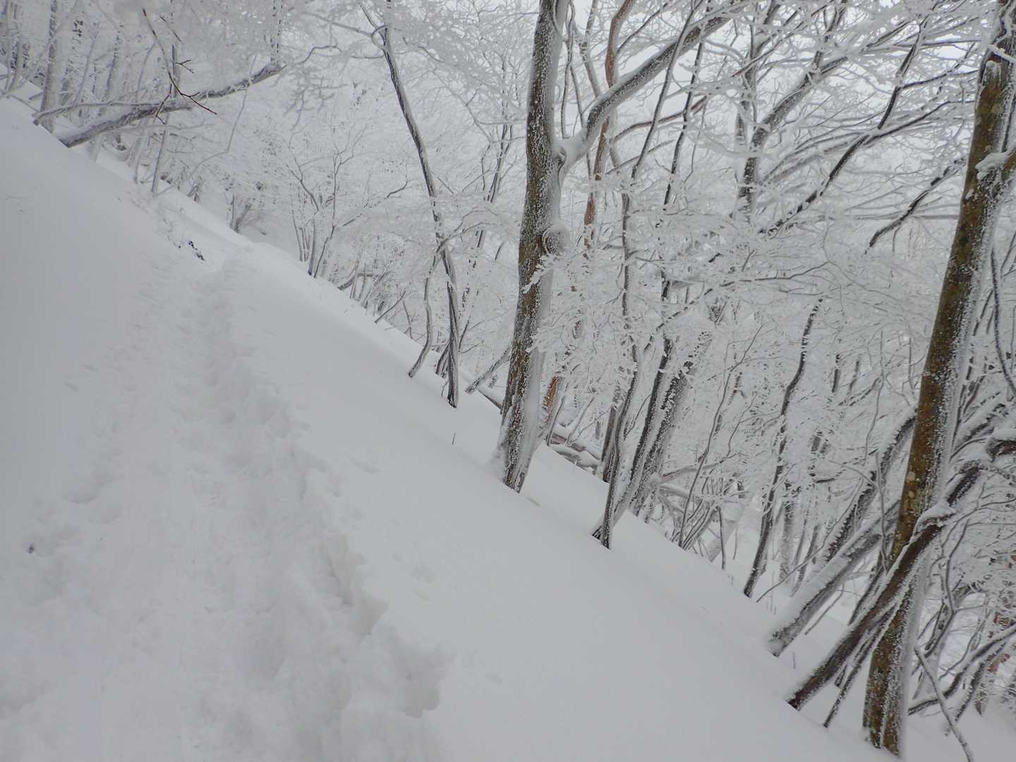 赤ゾレ山-国見山-水無山 周回コースの写真