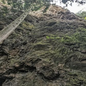 …と思ったら。
途中まで滝コースに降りちゃった🤣
(もちろんここは下りてませんよ)
すんごい岩壁の下に来ました。
クライミングの人の感覚どうなってんだろ？