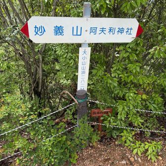 あっという間に大小山⛰️