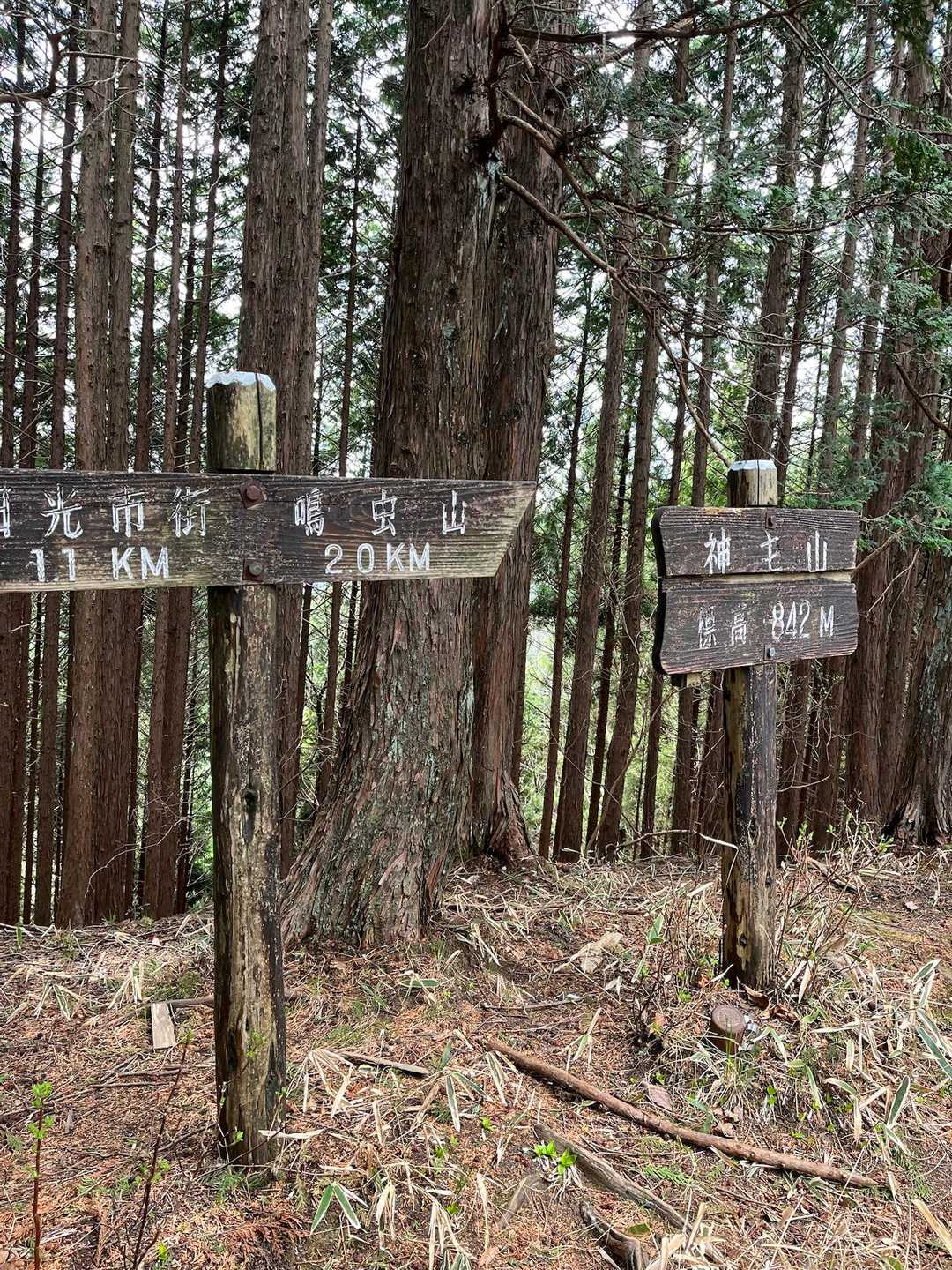 まずは、この山。