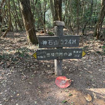 本日2度目の神石山