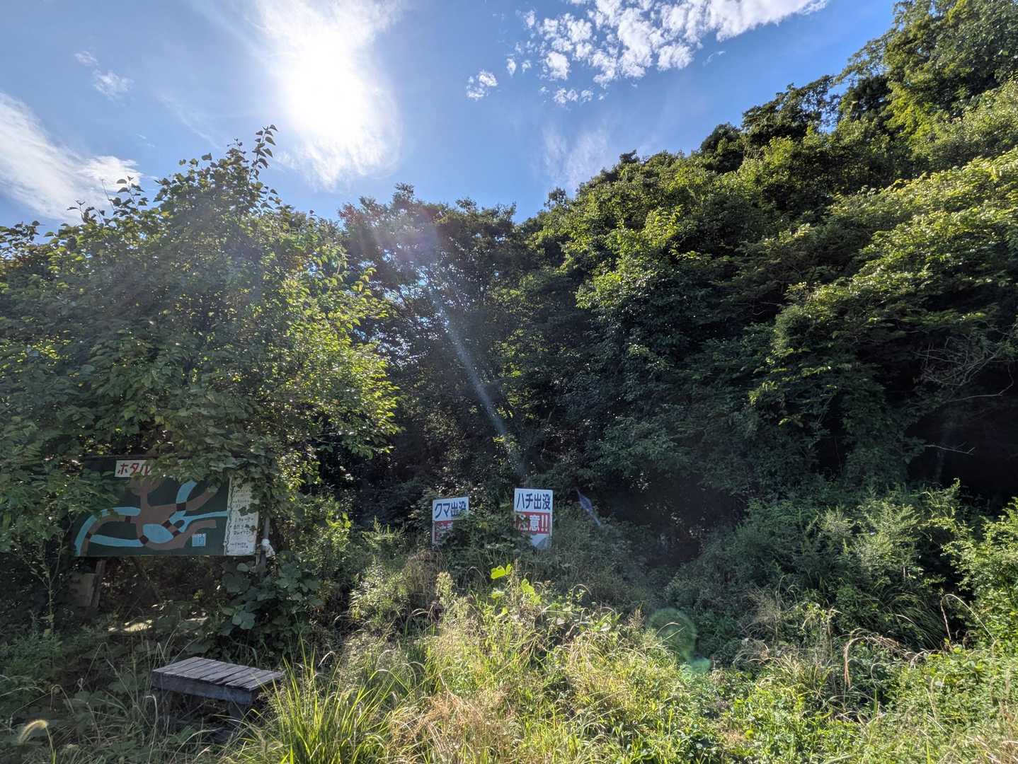 おトイレ🚻無いので、事前に済ませてからのスタートです🚶🏻
山岸登山口より、お花🌸探しながらゆっくり歩きます🐌
