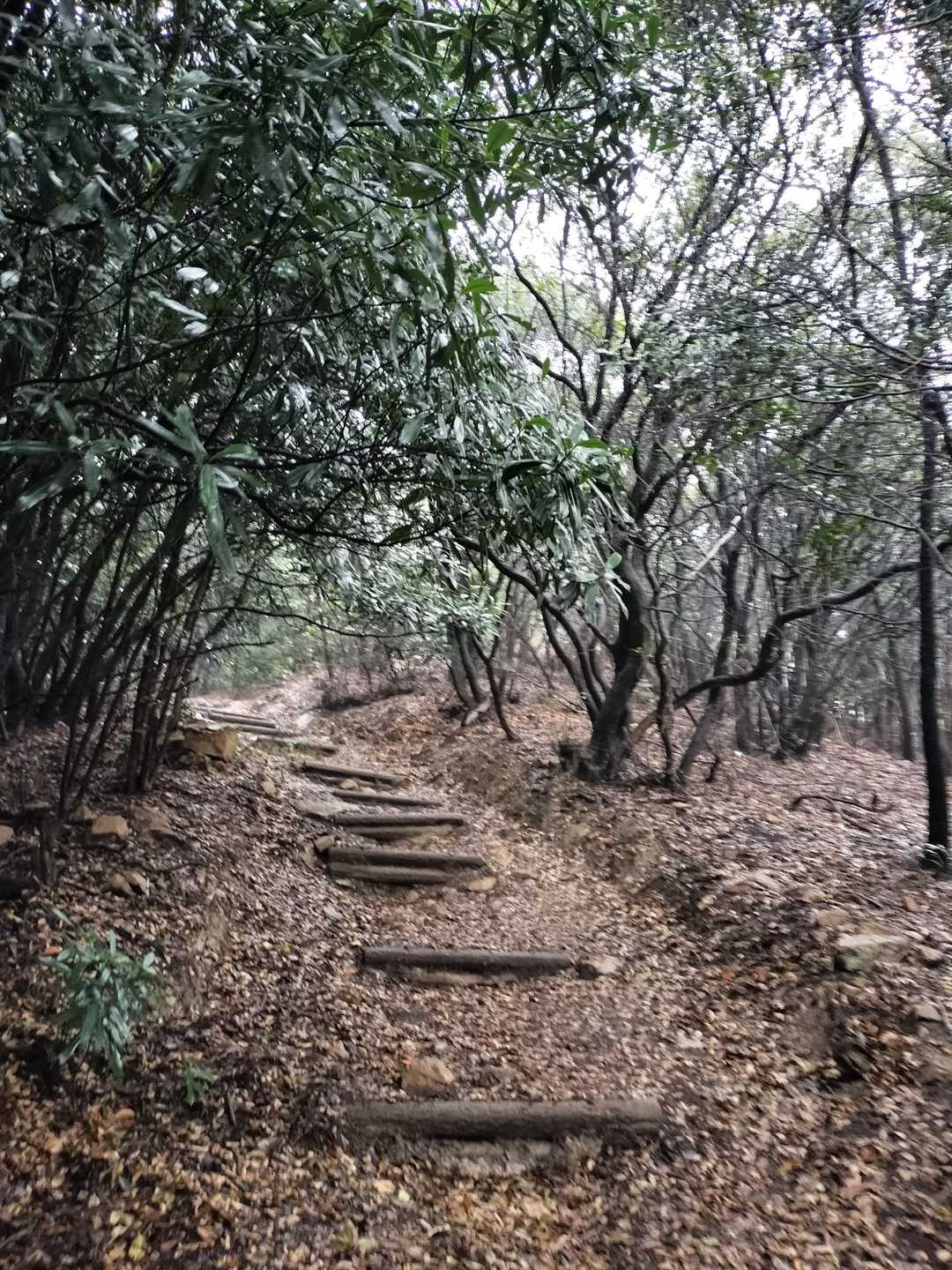 大弥山へ