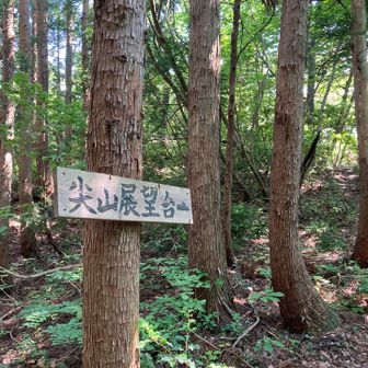 展望台まできました。