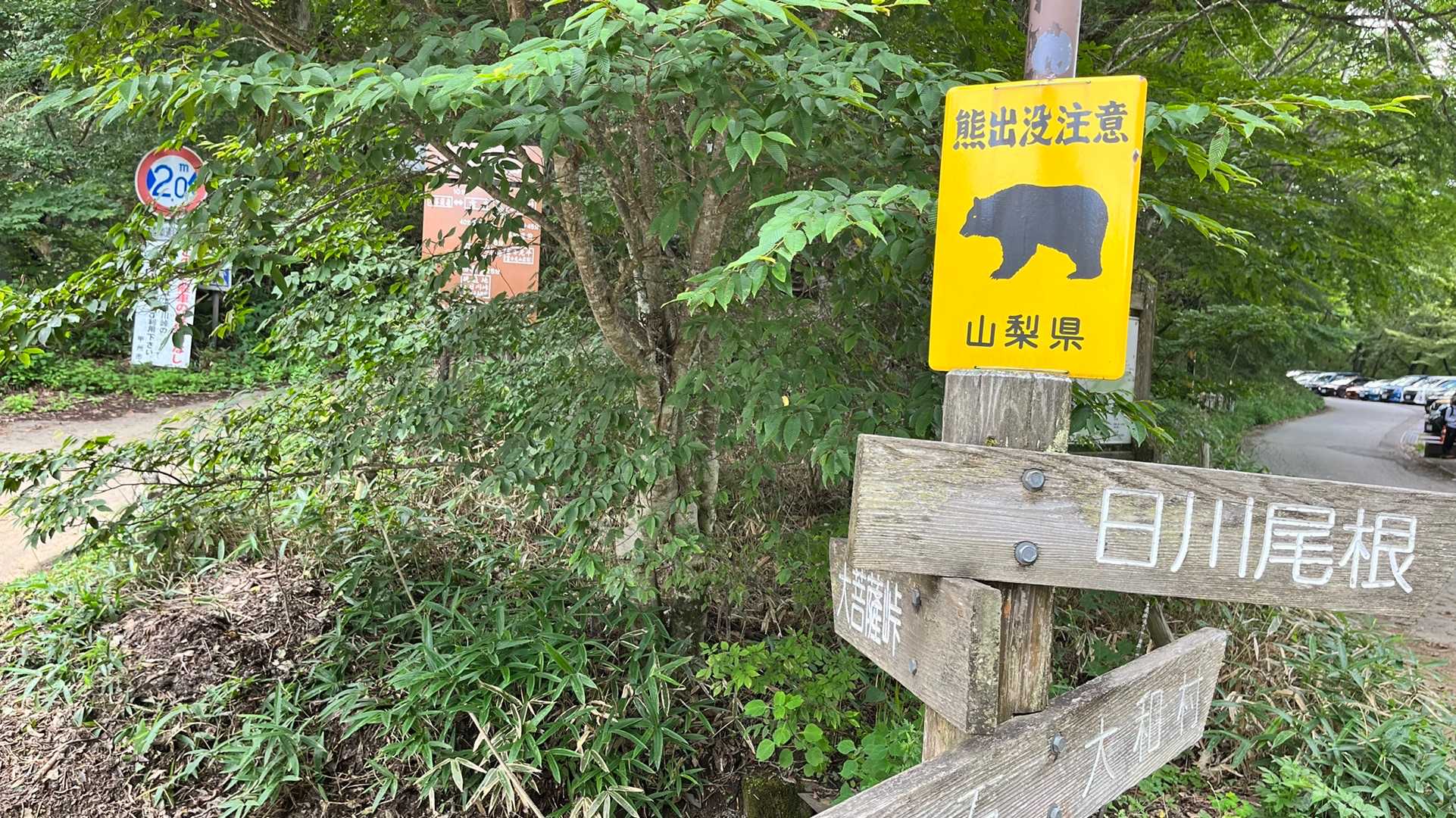出るんですか…