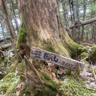 笠松山　ここまでピンテがあって歩きやすかった😊　雪が固まって滑りやすくなってきた！