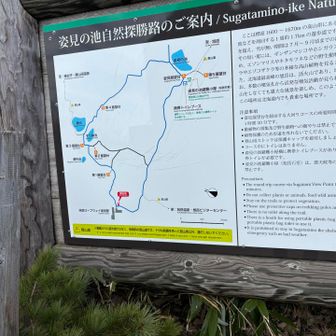 もう一回青いの見たくてまた行きます。
そっちから帰ってくれば良かったです。