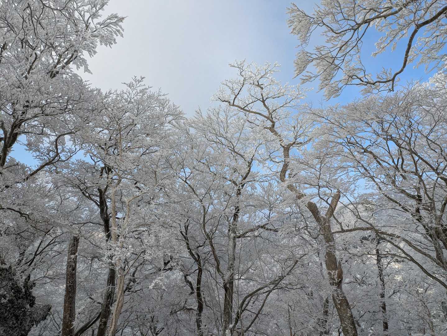 午前中は雲多め