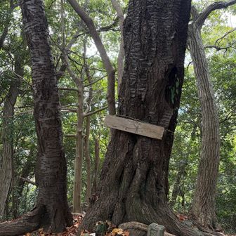 大平山分岐