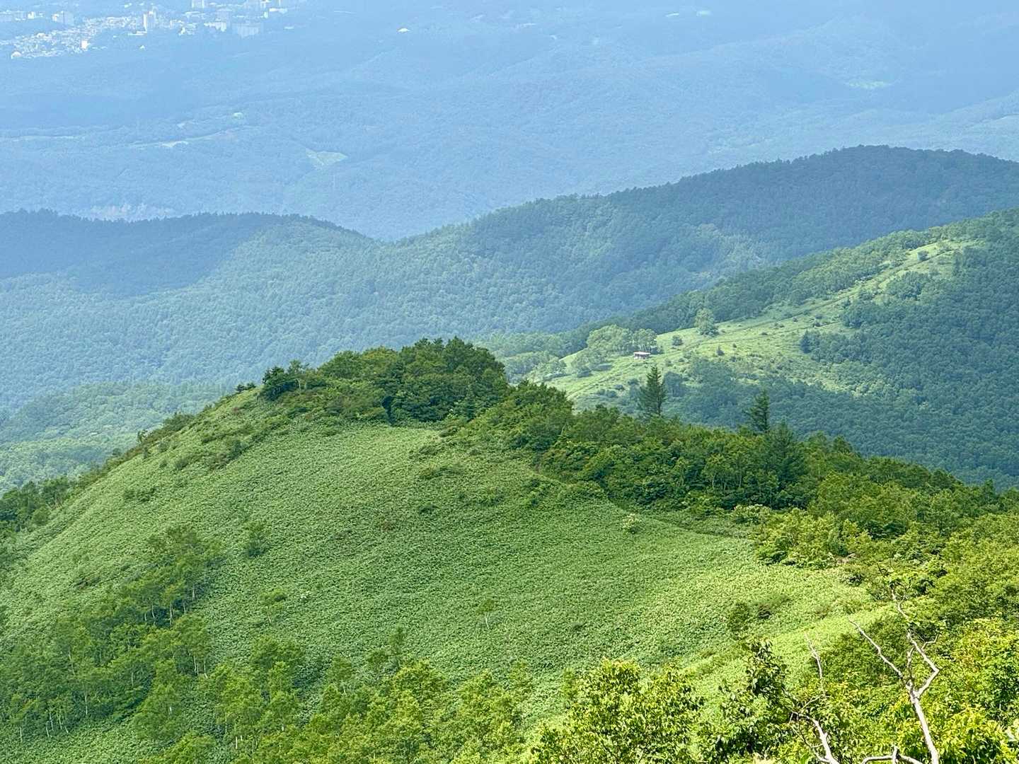ステキ
