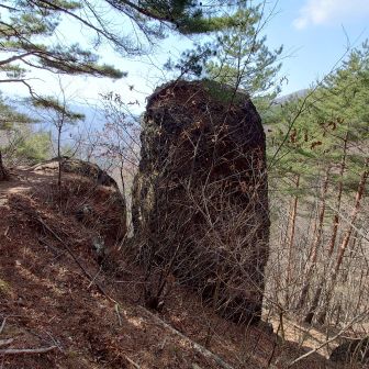 横から見ると 
どんと立ってる😄

このコースは岩に名前を付けてあり
楽しく歩けます