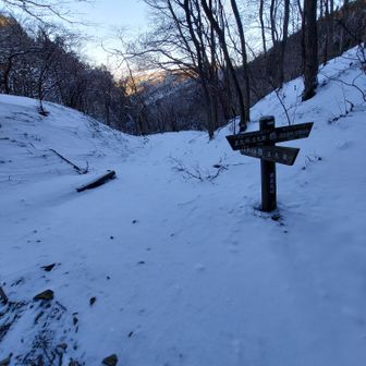 旧正丸峠
ここでチェンスパとゲイター装着