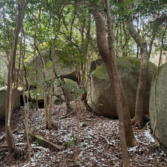 巨石群がちら