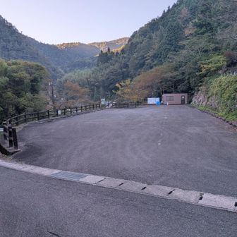 Ｐ実は広い