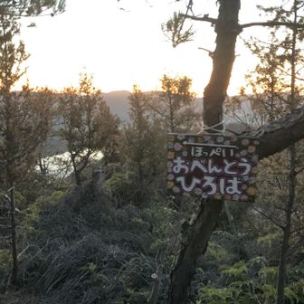 おべんとうひろばの表示に光量を合わせたのであかるそうですが、実はまだ暗いんです。