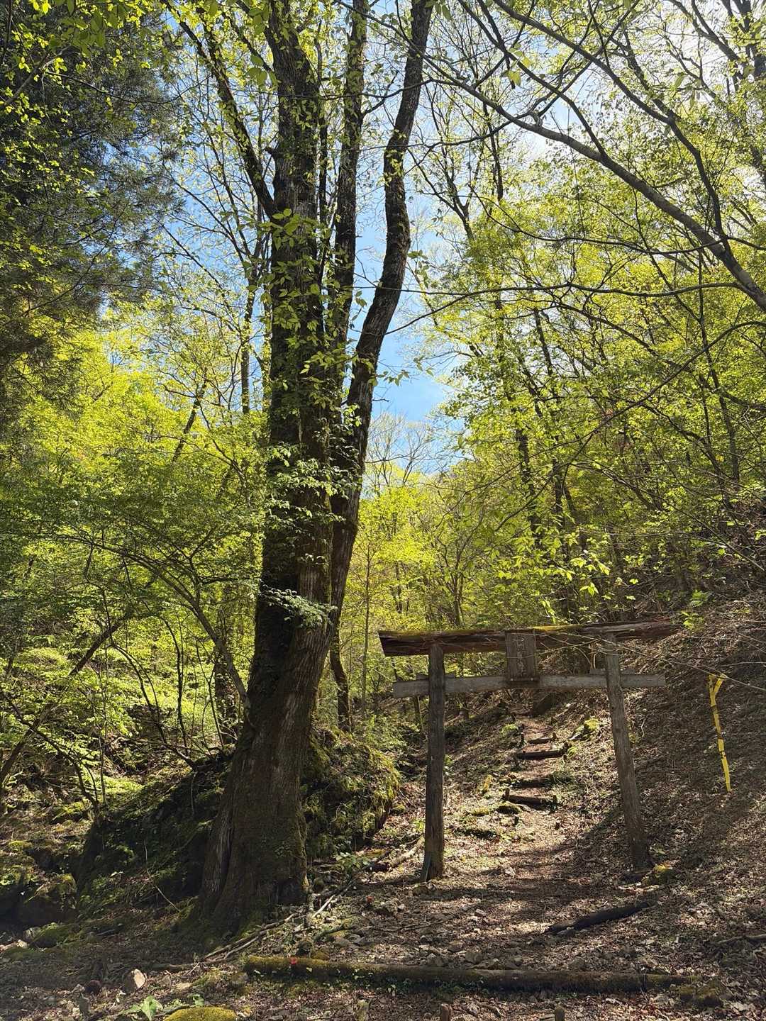 登山口