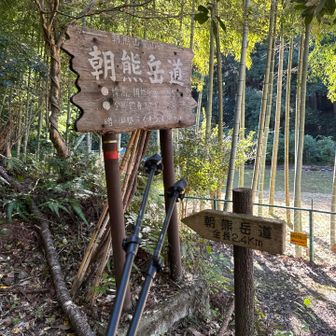 登山口まで下山しました