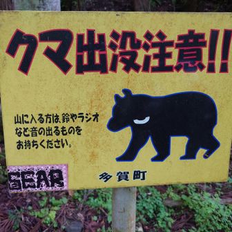 ユーザーつん