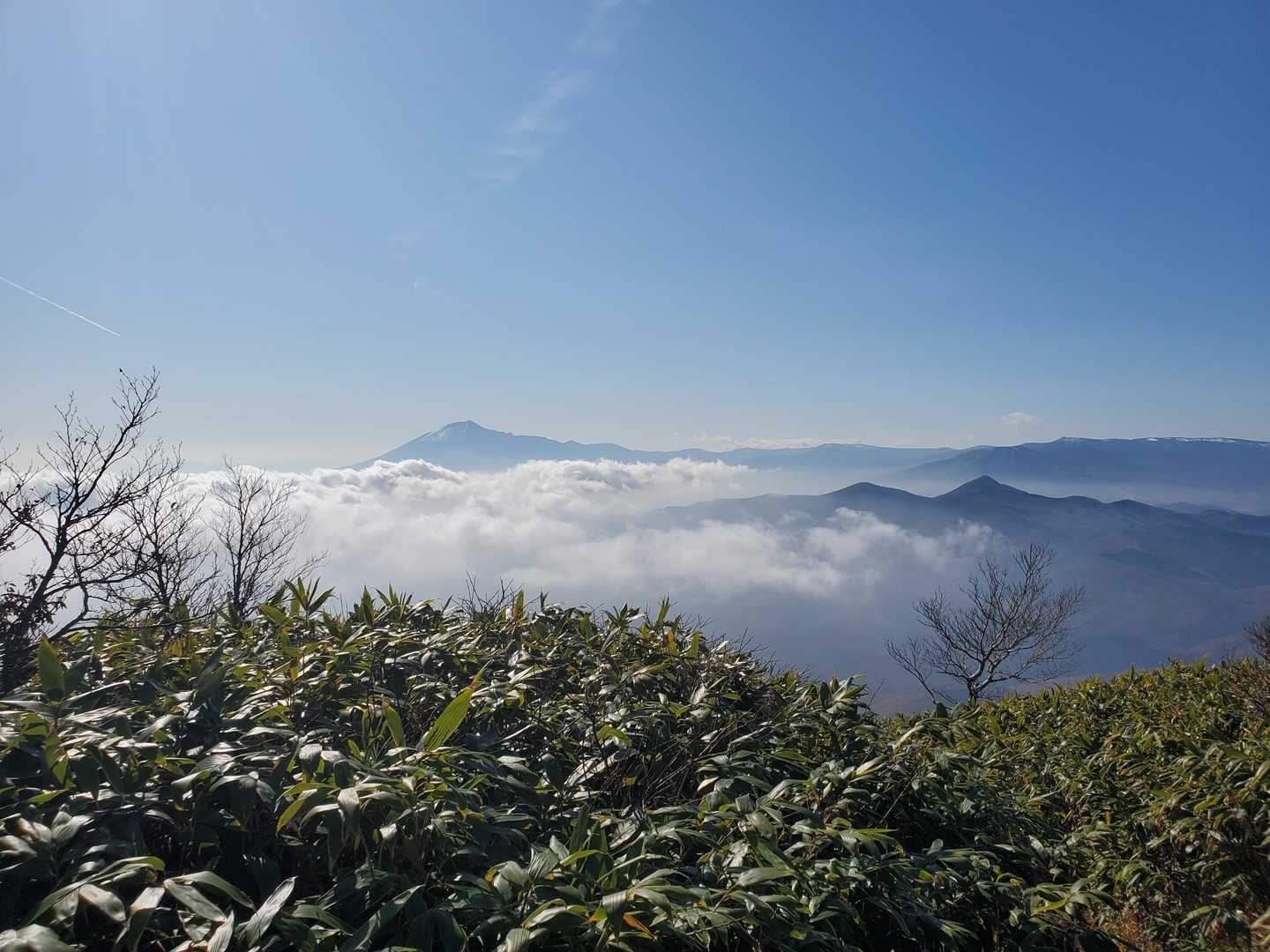 西根寺田コース登山口-七時雨山 往復コースの写真