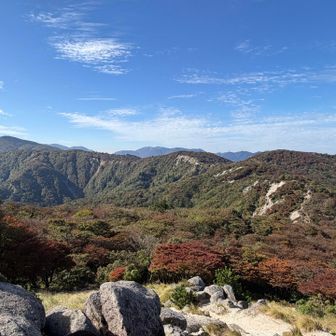 見晴らし最高〜🤩